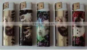 electronic plastic lighter
