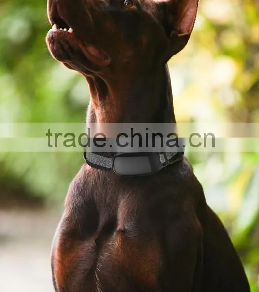 Waterproof Sell GSM/GPRS/GPS tracker system,pets tracker