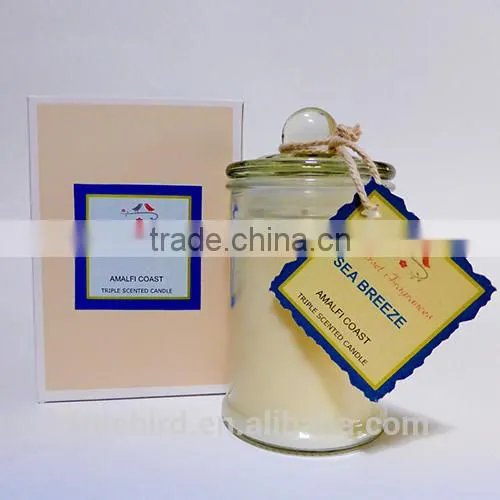 Home Decoration Metro Jars Candle Glass With Lid photo-3