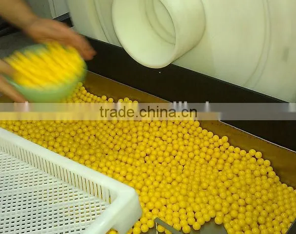 Large Production Capasity Paintball Making Machine photo-5