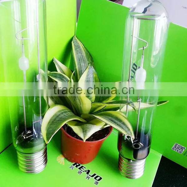 Horticulture Factory Hot Sale Plant Growth 315W CMH Bulbs photo-5