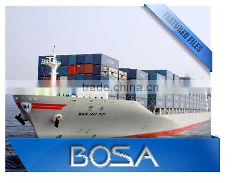 Co-loader Ocean Freight Service Freight Forwarding Door to Door Service