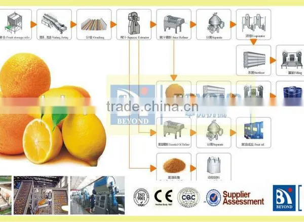 200 Tons per Day Automatic Orange Citrus Processing Line Fruit Juice Production Line photo-6