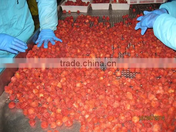 High Brix Dandong Strawberry photo-5