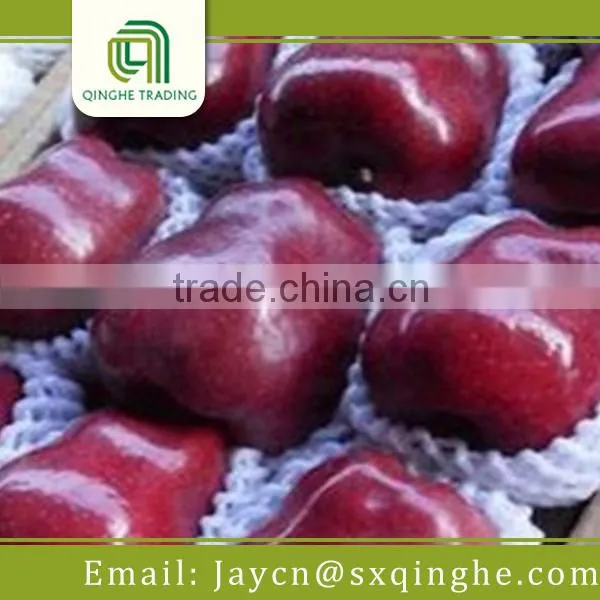 Red Delicious Huaniu Apple, Fruit Wholesale Distributors