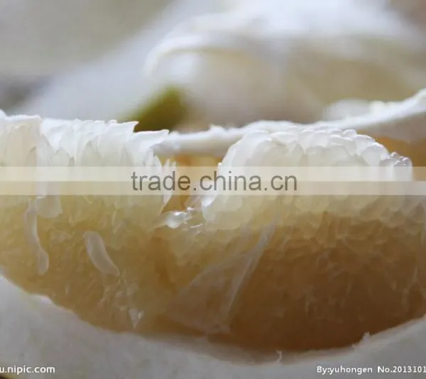 Pomelo photo-5