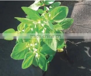 Polypropylene Nonwoven Weedmat,non Woven Geotextile photo-3