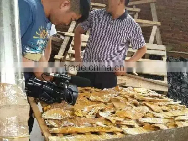 Catfish Drying Machine Fish Dryer photo-5