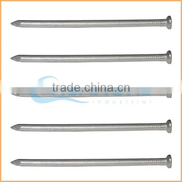 Manufacture High Quality Low Price Price per kg Iron Nail photo-4