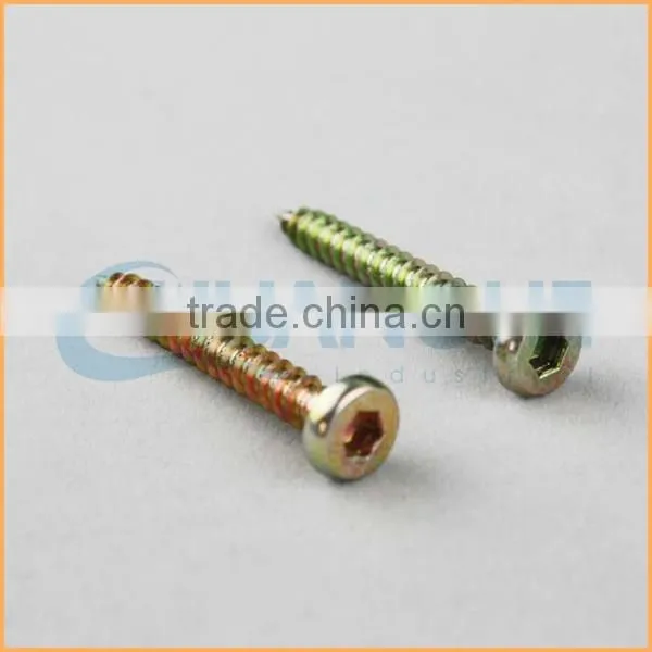 China Factory Sales Flat Hex Head Furniture Screw photo-5
