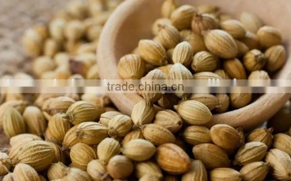 Coriander Seeds photo-2