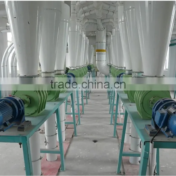 Manufacturer of Screw Wheat Brusher to Remove Bran Ash photo-4