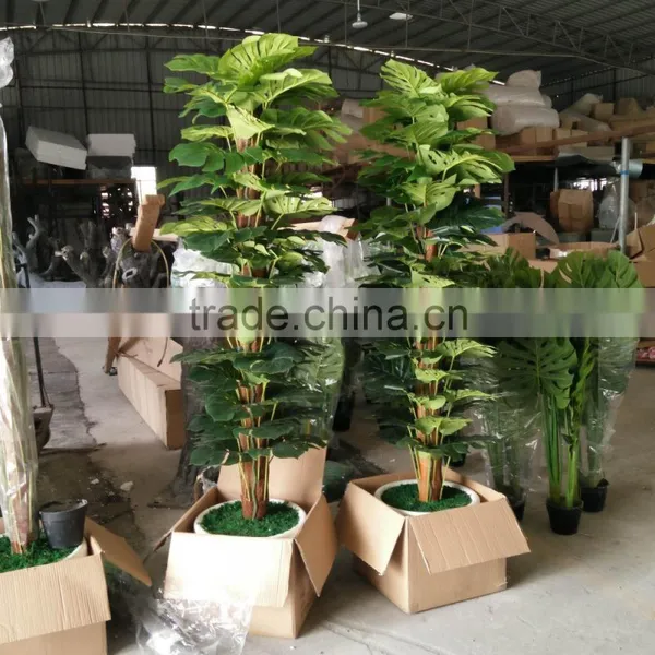 Decorative Artificial Plants Green Plants Wholesale photo-2