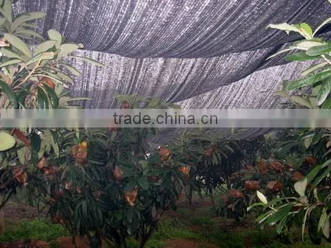 Black Shade Net for Greenhouse photo-4
