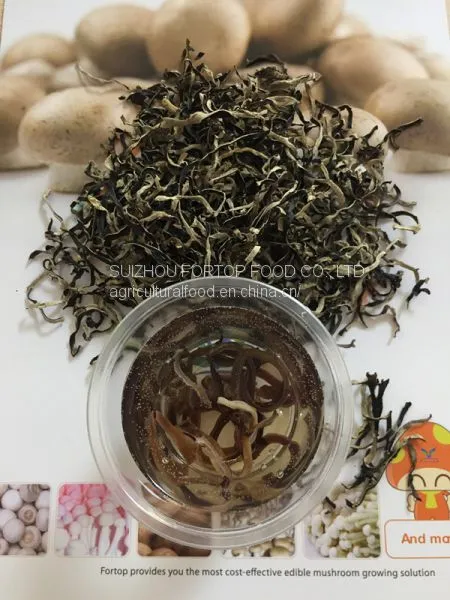 Factory Price Dried White Back Black Fungus Mushroom Short Slices (1-5CM Length) photo-3