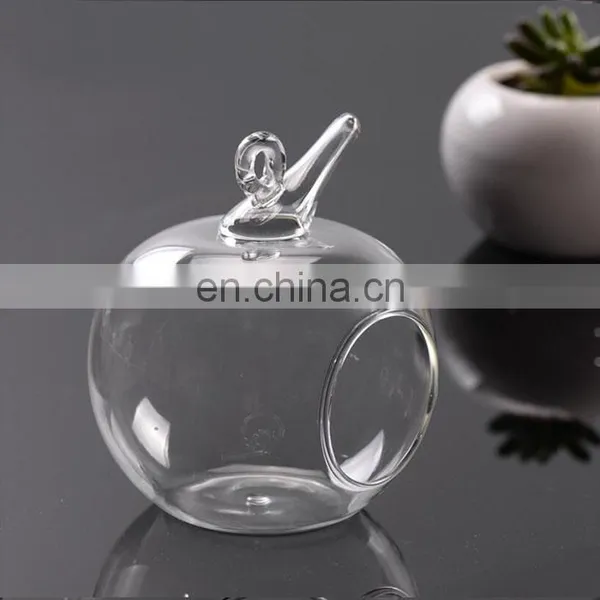 Terrarium Hanging Glass Terrarium Home Decoration