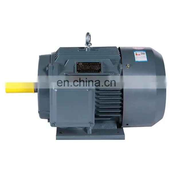 Hot Selling 15kw 2930 Rpm YE2 160M2-2 Three Phase Electric ac Water Pump Motor of China Supplier photo-4