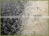 Psyllium Husk 99%