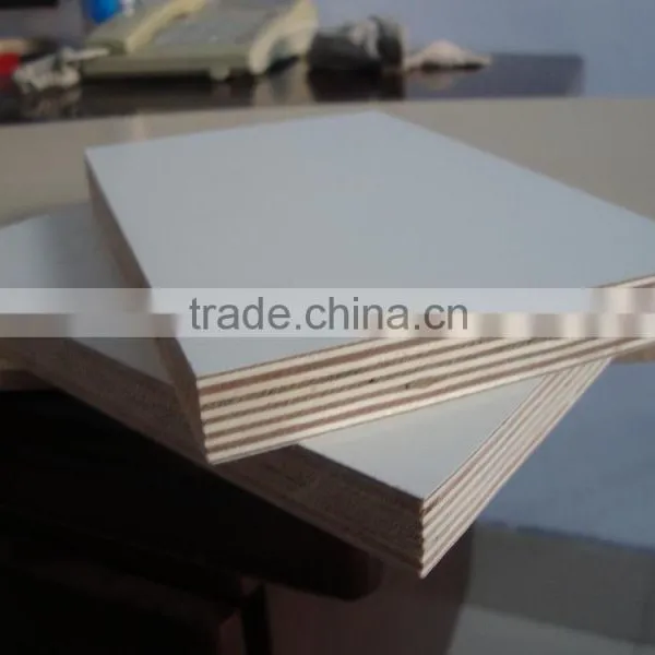 High Quality Furniture Plywood Sheet photo-6