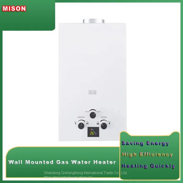 High Quality Wall Mounted Natural Gas Tankless Natural Gas Water Heater /boiler/Geyser