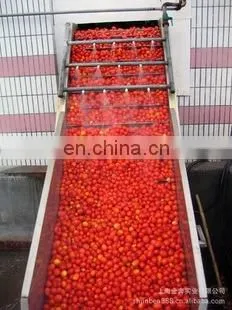 Best Price Tomato Paste Ketchup Pulping Making Machine Evaporator/tomato Paste Production Line/tomato Sauce Processing Plant photo-4