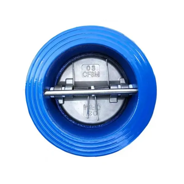 Cast Iron Ductile Iron Body Check Valves Wafer Swing PN16 2