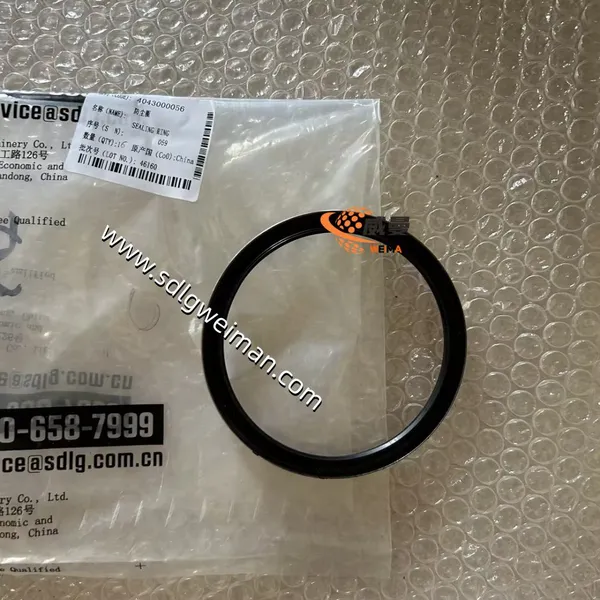 4043000056 Seal Ring photo-3