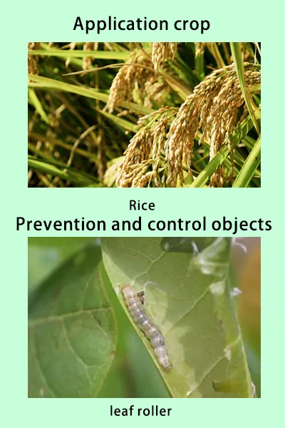 Chlorantraniliprole Pesticides for Agriculture Pesticide Chlorantraniliprole 75%Wdg photo-2