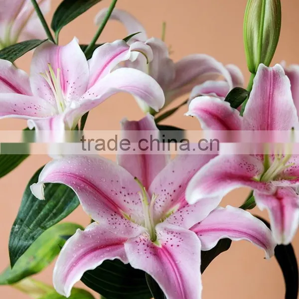 Fresh Sorbonne Wedding Decoration Lily Flower Bouquet photo-6