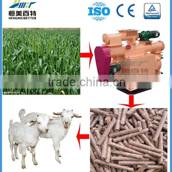 China Forestry Cpm Pellet Mill for Rice Husk photo-3