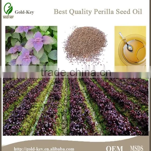 High Quality Wholesale Organic Perilla Seed Oil photo-5