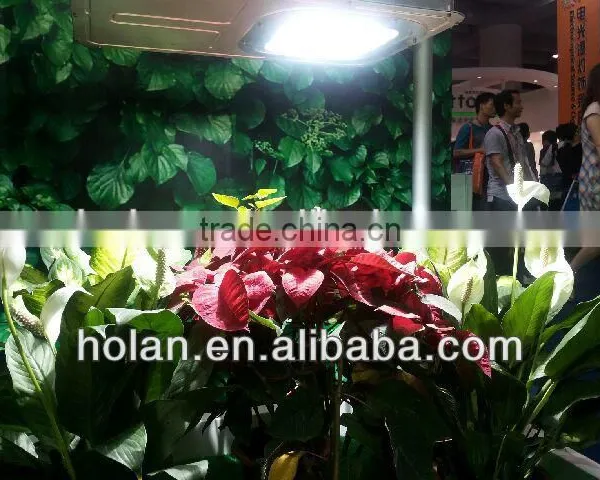 Bi-spectrum Induction Grow Light photo-6