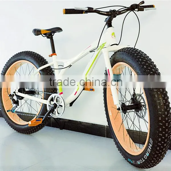 Made in China Alloy Complete Fat Bicycle Big Tyre Bike