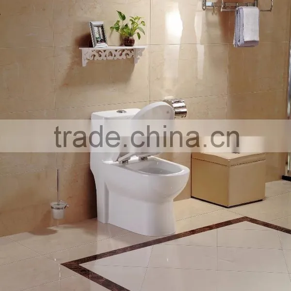 Hot Sale Dennis 2056 One Piece Toilet Bowl photo-4