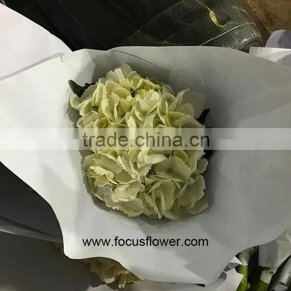 Wholesale Hydrangea Flowers For Wedding Flower Stand For Wedding photo-5