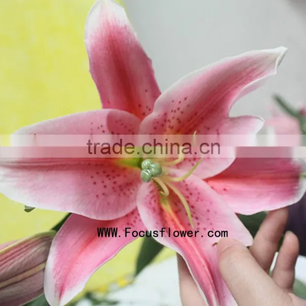 Decoration Flower Fresh Lily Flower With 1.7~3.5KG/Bundle Water Lily Flower Named As Fresh Cut Lily Tiber From Focus/Kunming photo-4