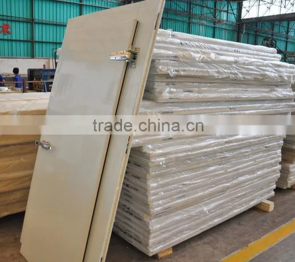 BASF Polyurethane Foaming Door for Cold Room photo-3
