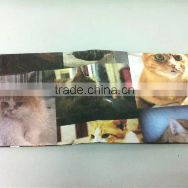 Tyvek Wallet