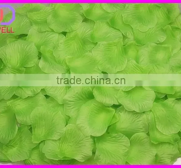 Preserved Natural Rose Petals photo-6