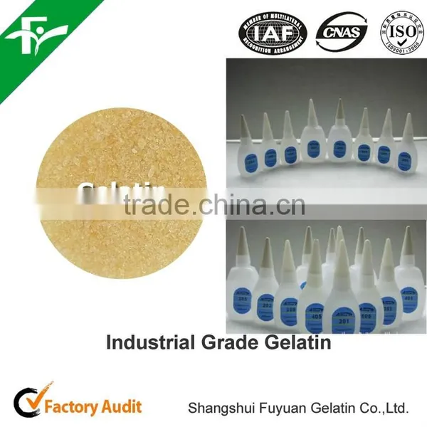 Gelatin in Granular With Packing 50kg / Bag Used in Industrial Chemicals as a Binder photo-4