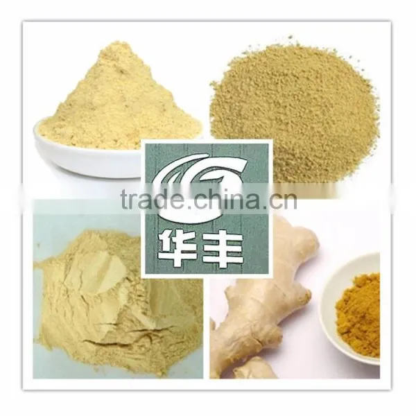 Ginger Root Extract Ginger Powder Factory Supply Directly photo-2