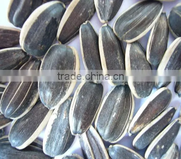 Chinese Sunflower Seed