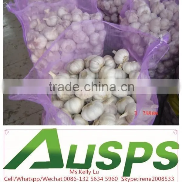 2015 New Crop Chinese Fresh Garlic 4.5-6.0cm photo-3