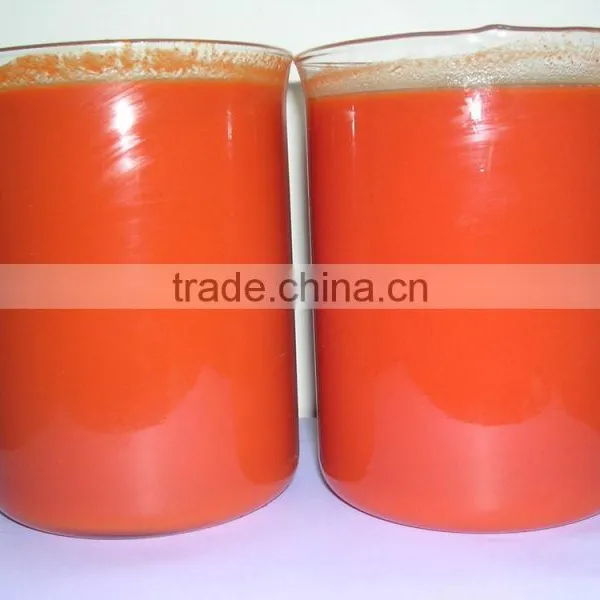 Fresh Goji Juice Concentrate photo-4