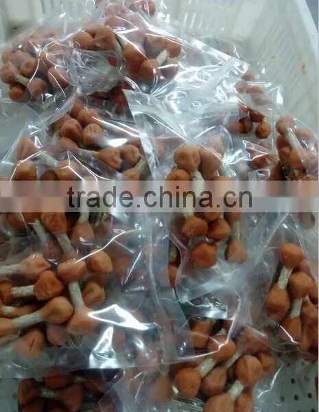 Dog Bones Treats Chicken Flavor Dog Dental Chews photo-4