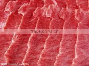 Useful Desktop Bias Cutter/cutting Machine, Small Size Meat Cutter, Meat Slicer Mob/Whatsapp: +86 18281862307 (May Liao) photo-6