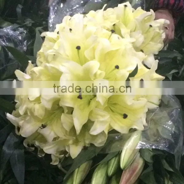 Decoration Lily Flower Fresh Cut Lily Flower Ornamental Flower photo-5