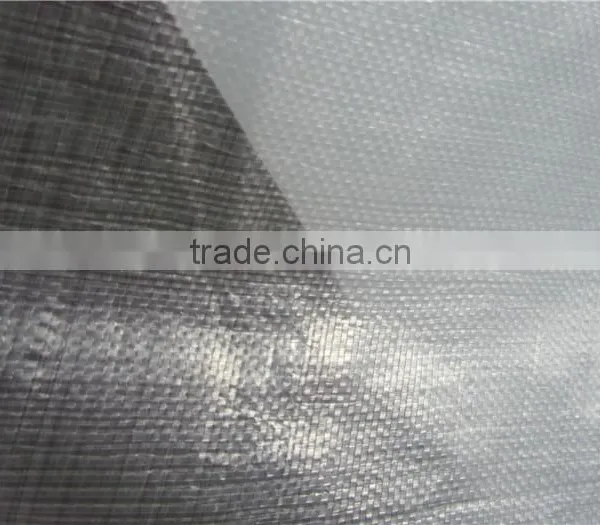 Clear Greenhouse Tarps, Transparent HDPE Tarpaulin Fabric, Anti-UV Tarpaulin Covering photo-2