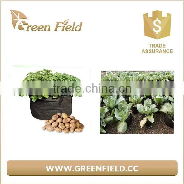 Wholesale Vegetable Felt Planter Bag Felt Potato/Carrot Planter Pots photo-2