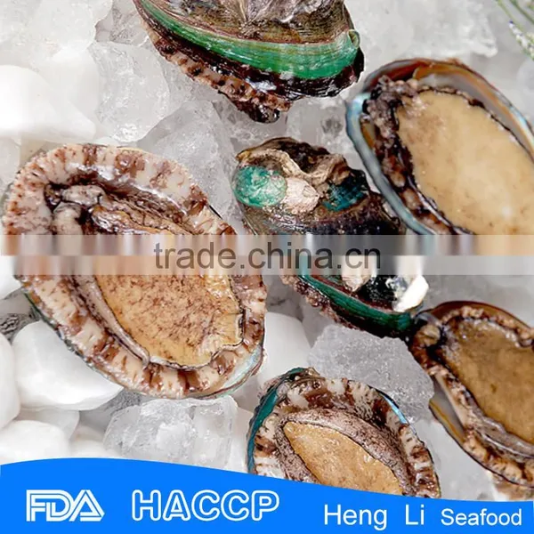 Iqf Frozen Abalone Factory photo-3